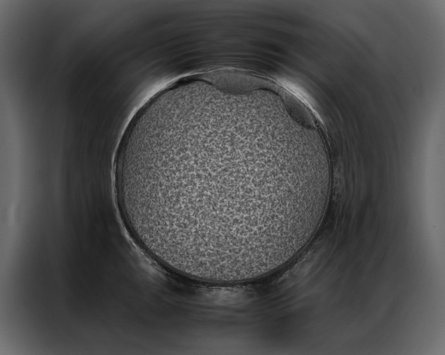 X0000086891047200705071219