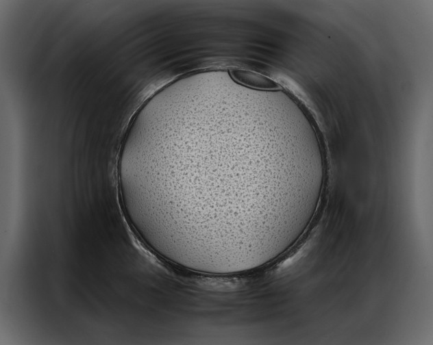 X0000086891049200705071219