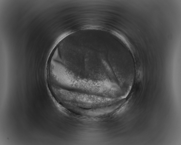 X0000086891050200705071219