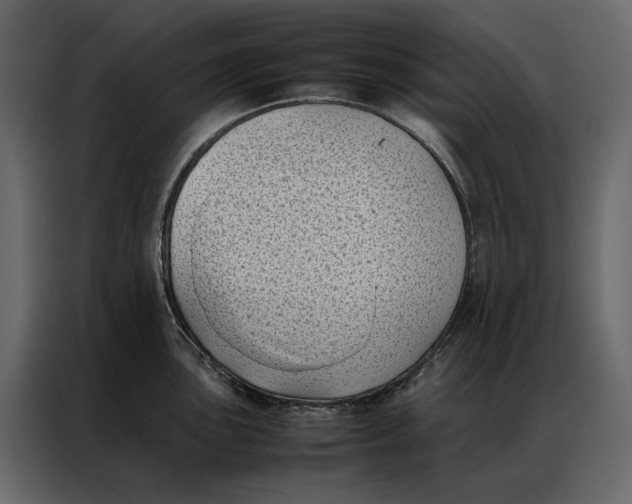 X0000086891051200705071219