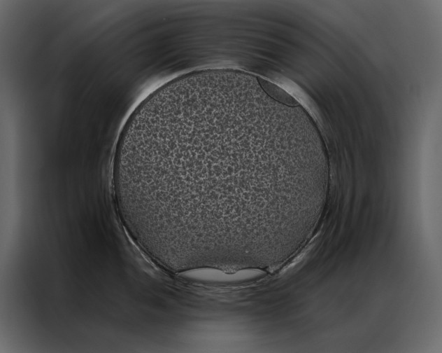 X0000086891052200705071219