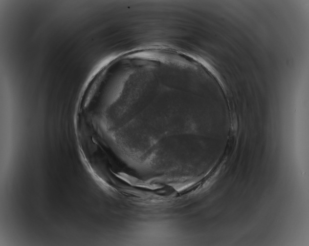 X0000086891054200705071219