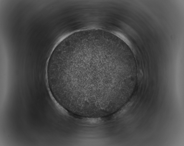 X0000086891055200705071219