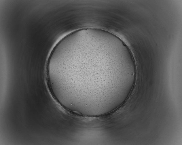 X0000086891056200705071219