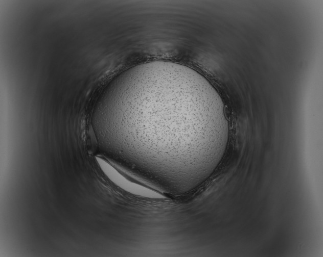 X0000086891058200705071218