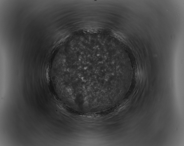 X0000086891060200705071218