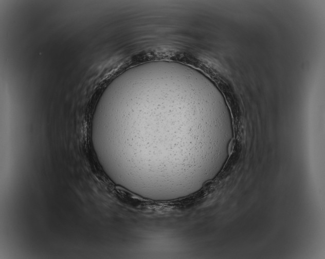 X0000086891061200705071218