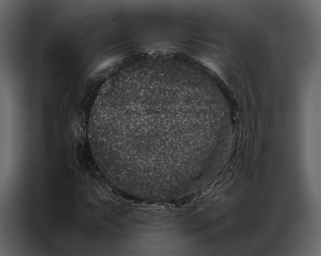 X0000086891063200705071218