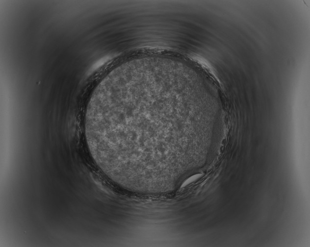 X0000086891064200705071218