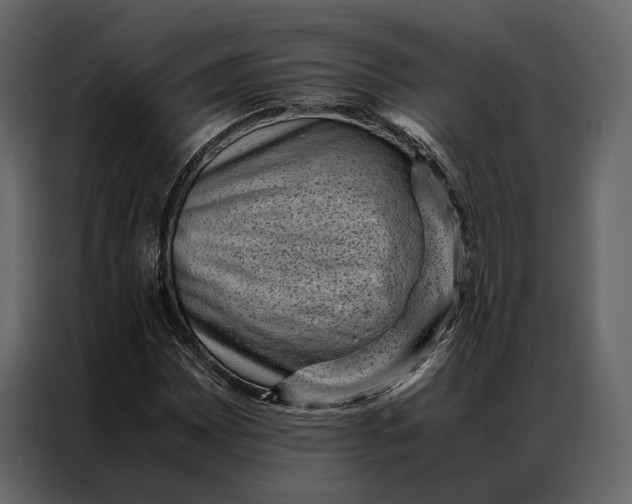 X0000086891065200705071218