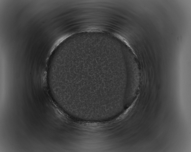 X0000086891066200705071218