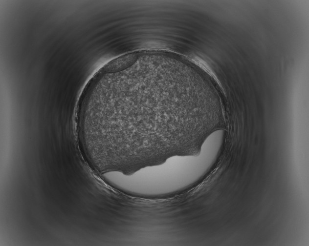 X0000086891068200705071218