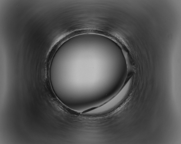 X0000086891069200705071218