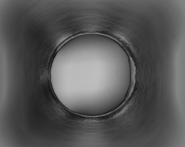 X0000086891073200705071218