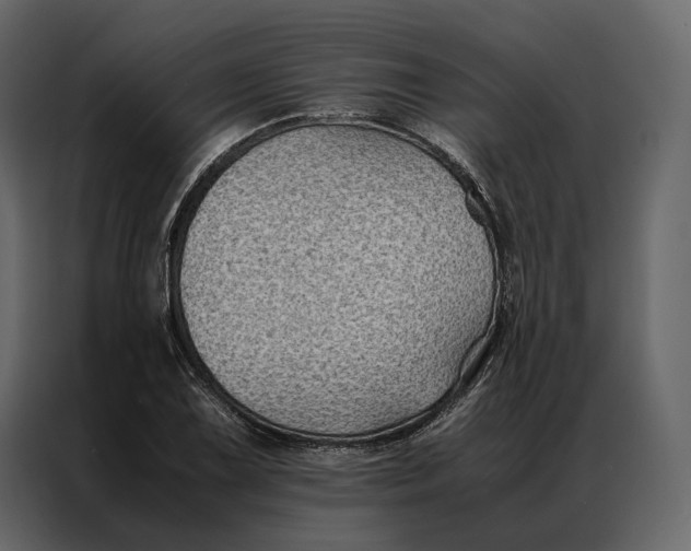 X0000086891075200705071218