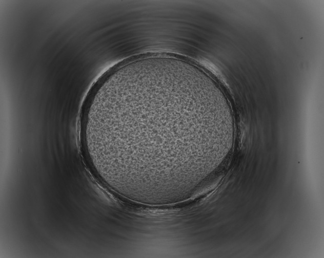 X0000086891076200705071218