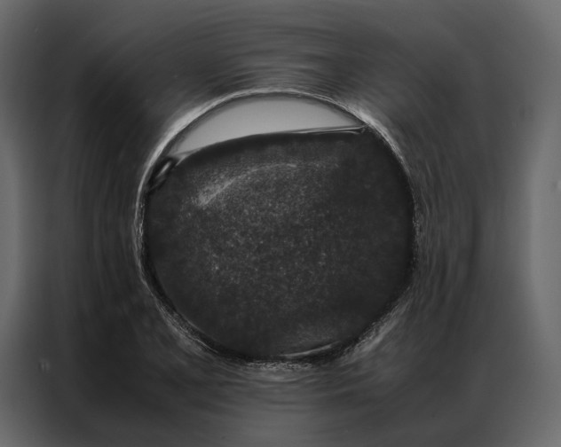 X0000086891077200705071218