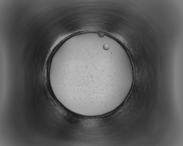 X0000086891078200705071218