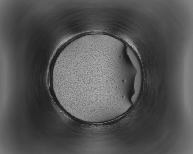 X0000086891080200705071218