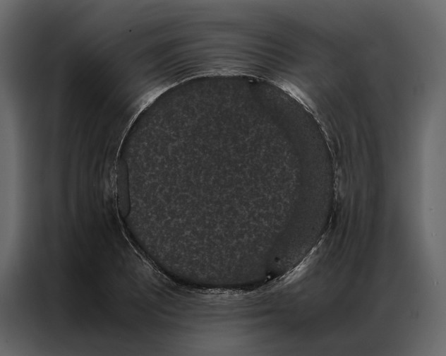 X0000086891081200705071218