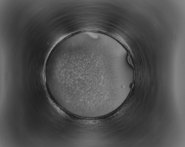 X0000086891084200705071218