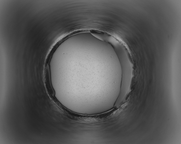 X0000086891085200705071218