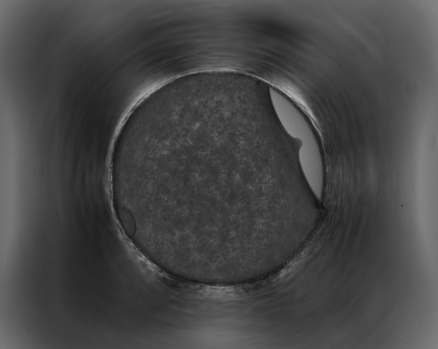 X0000086891088200705071218