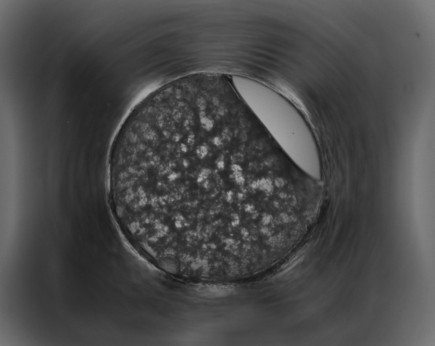 X0000086891095200705071218