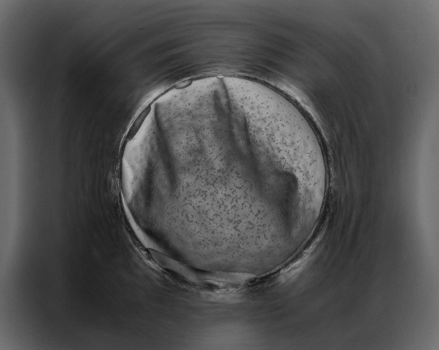 X0000086891097200705071218