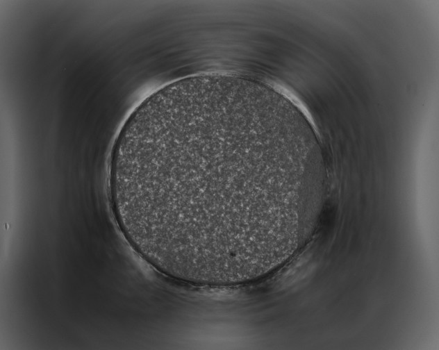 X0000086891099200705071218