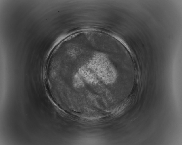 X0000086891101200705071218