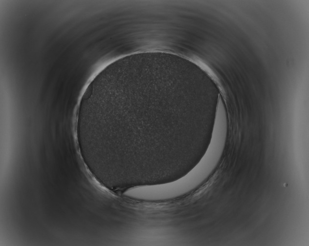 X0000086891102200705071218