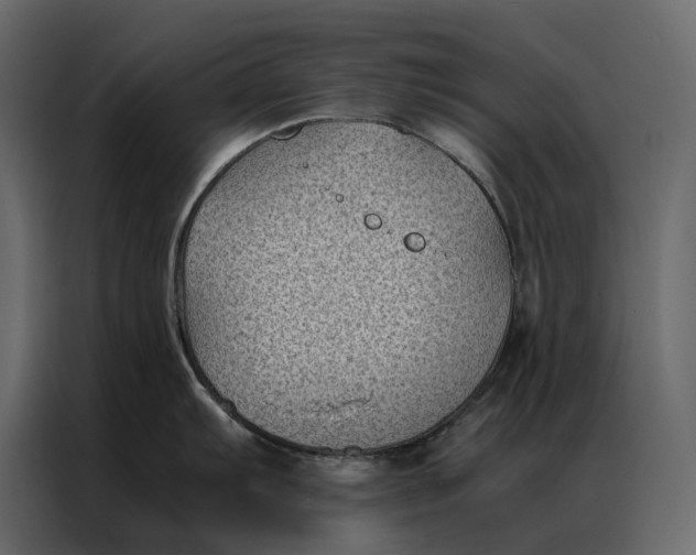 X0000086891103200705071218