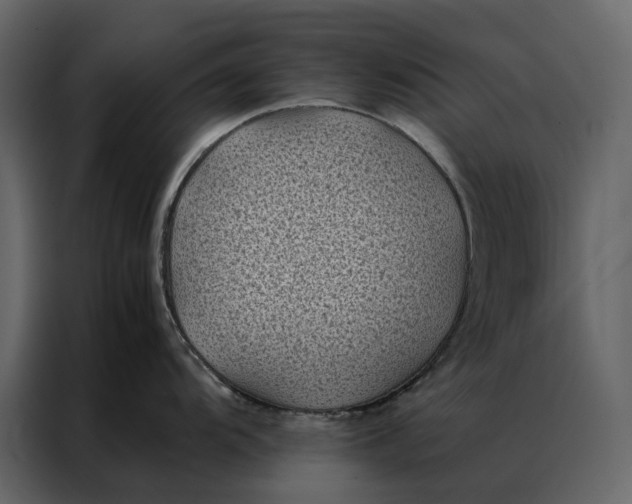 X0000086891104200705071218