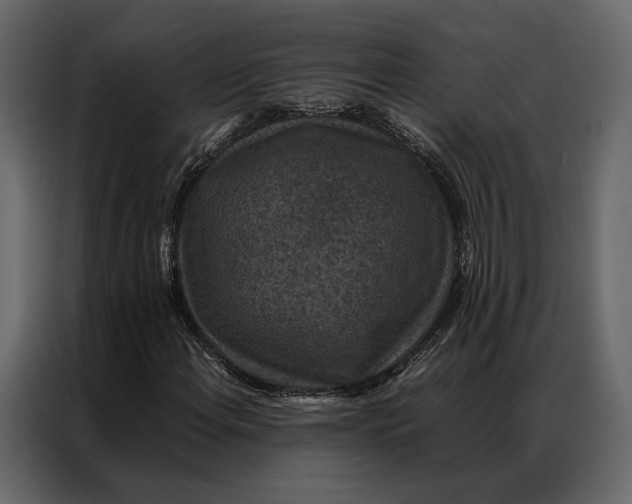 X0000086891108200705071217