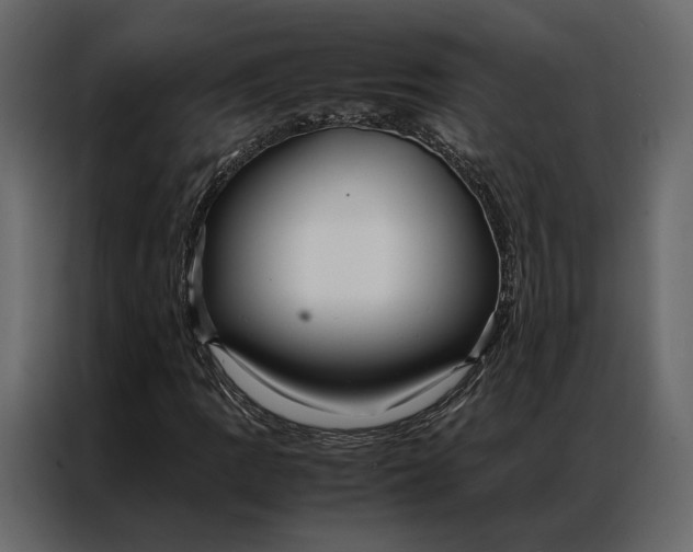 X0000086891109200705071217