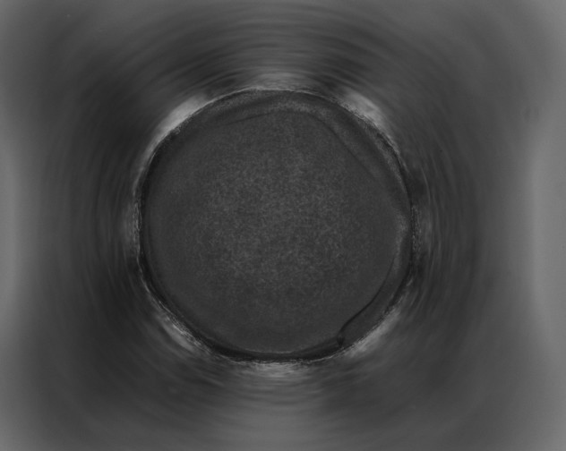 X0000086891114200705071217