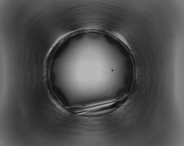 X0000086891116200705071217