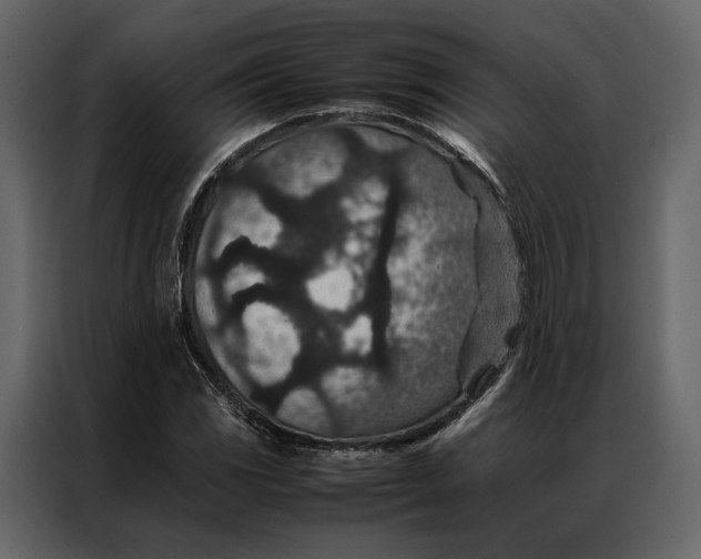 X0000086891117200705071217