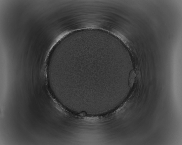 X0000086891118200705071217