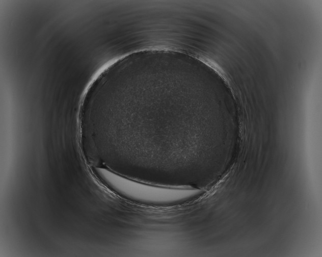 X0000086891120200705071217