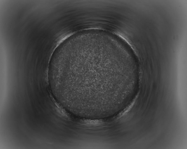 X0000086891121200705071217