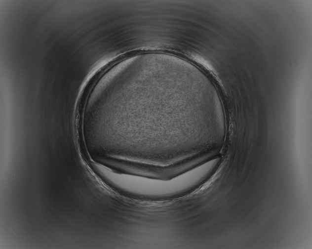 X0000086891122200705071217