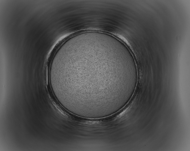 X0000086891123200705071217