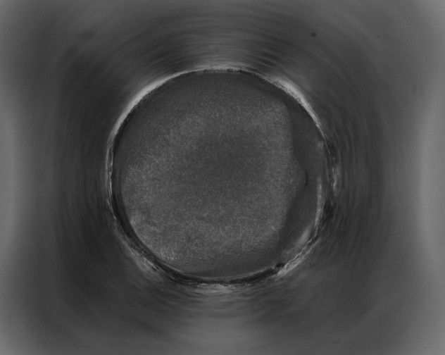 X0000086891124200705071217