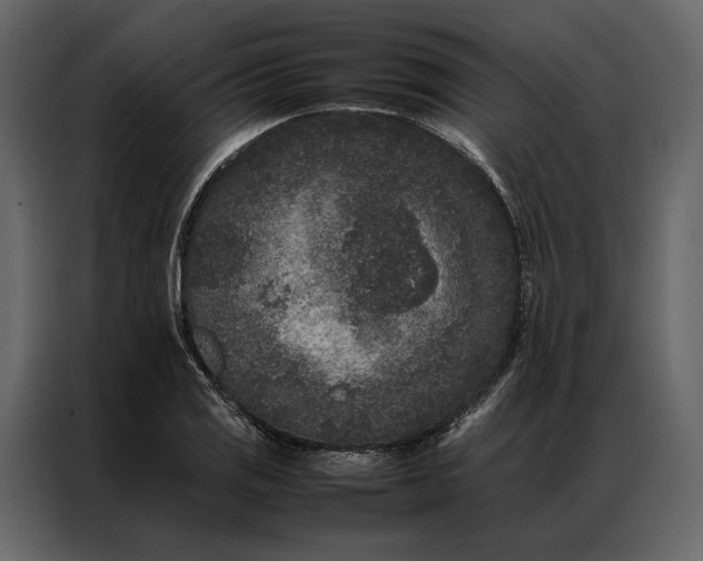 X0000086891125200705071217