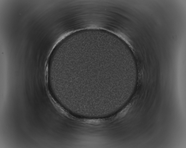 X0000086891126200705071217