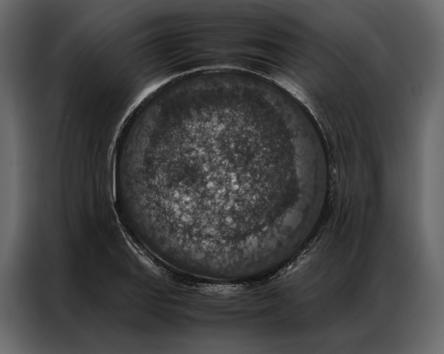 X0000086891127200705071217