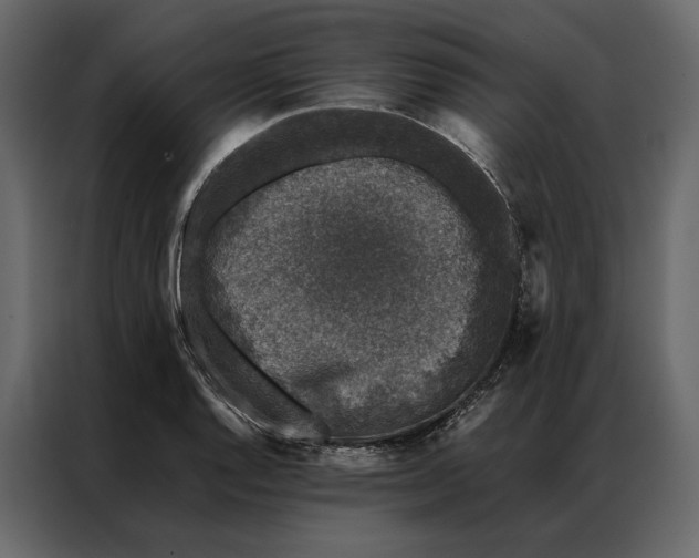 X0000086891128200705071217