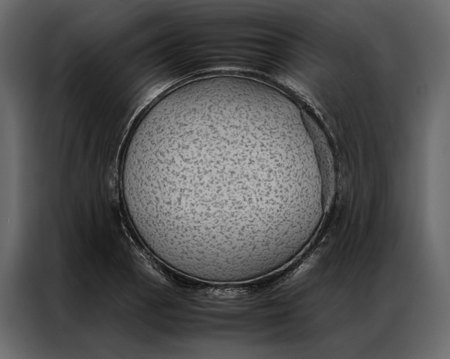 X0000086891129200705071217